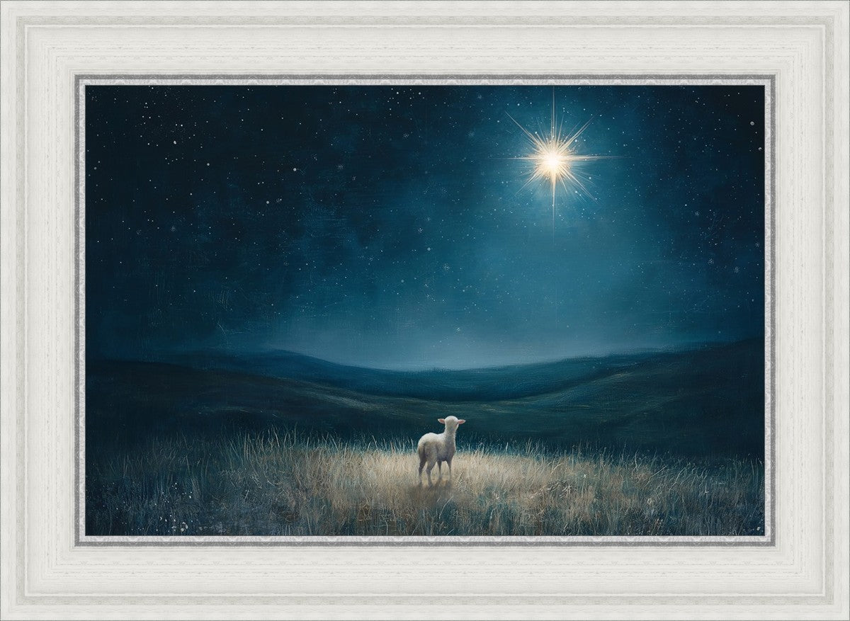 Star of Bethlehem