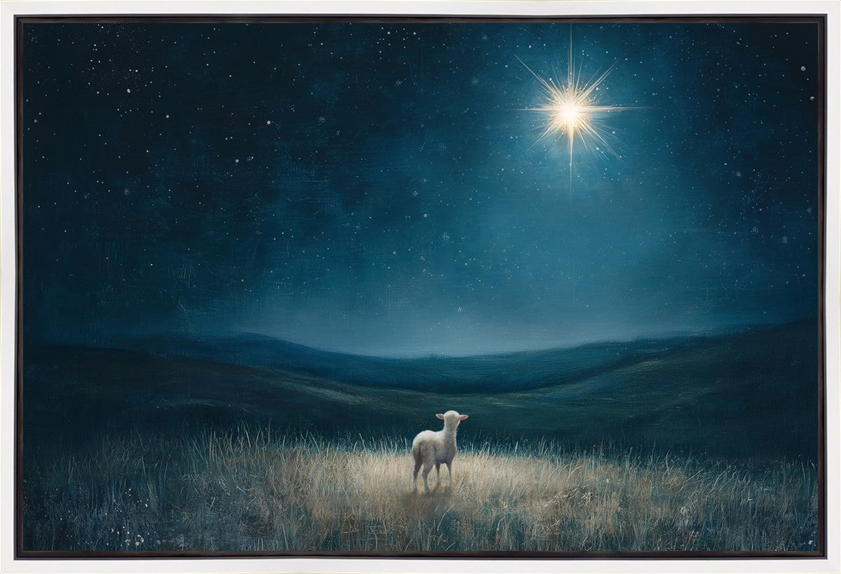 Star of Bethlehem