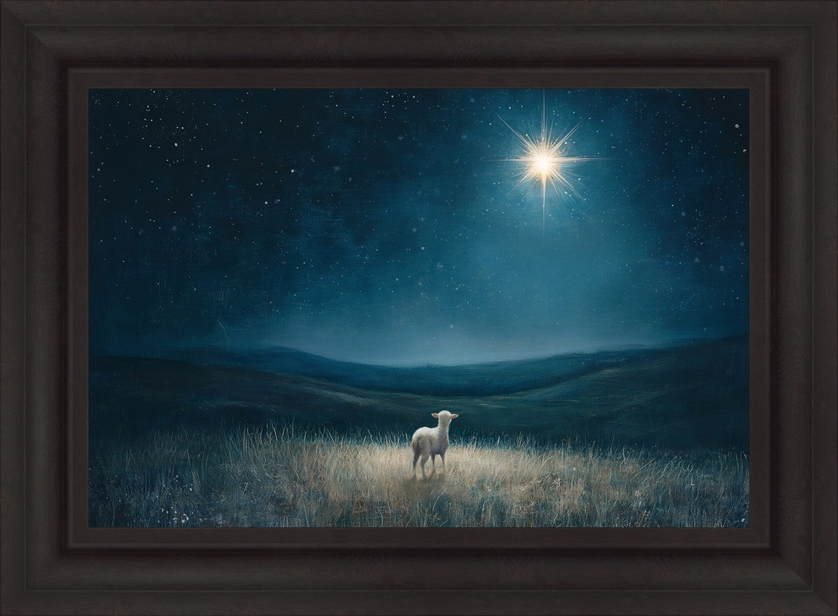 Star of Bethlehem