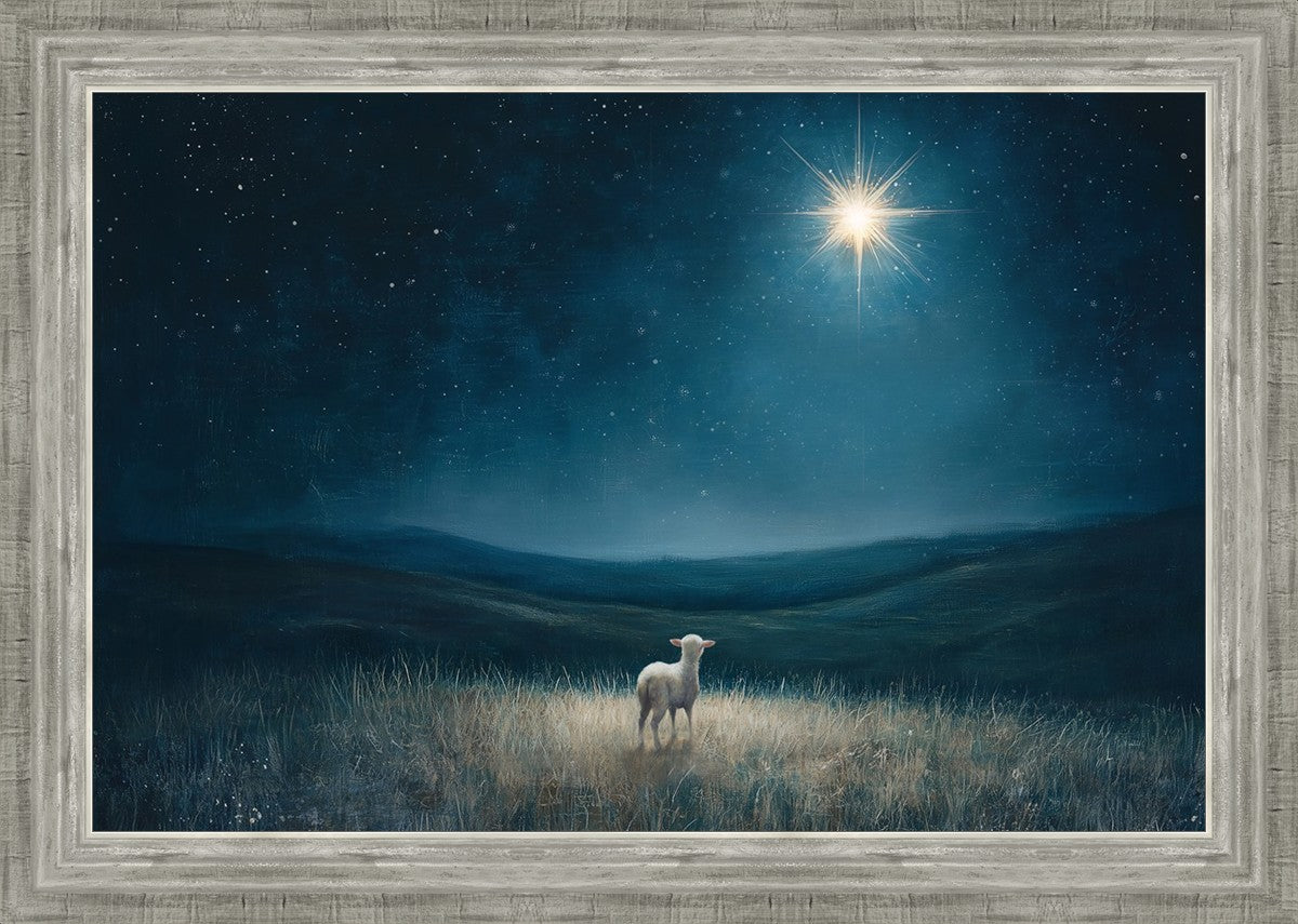 Star of Bethlehem