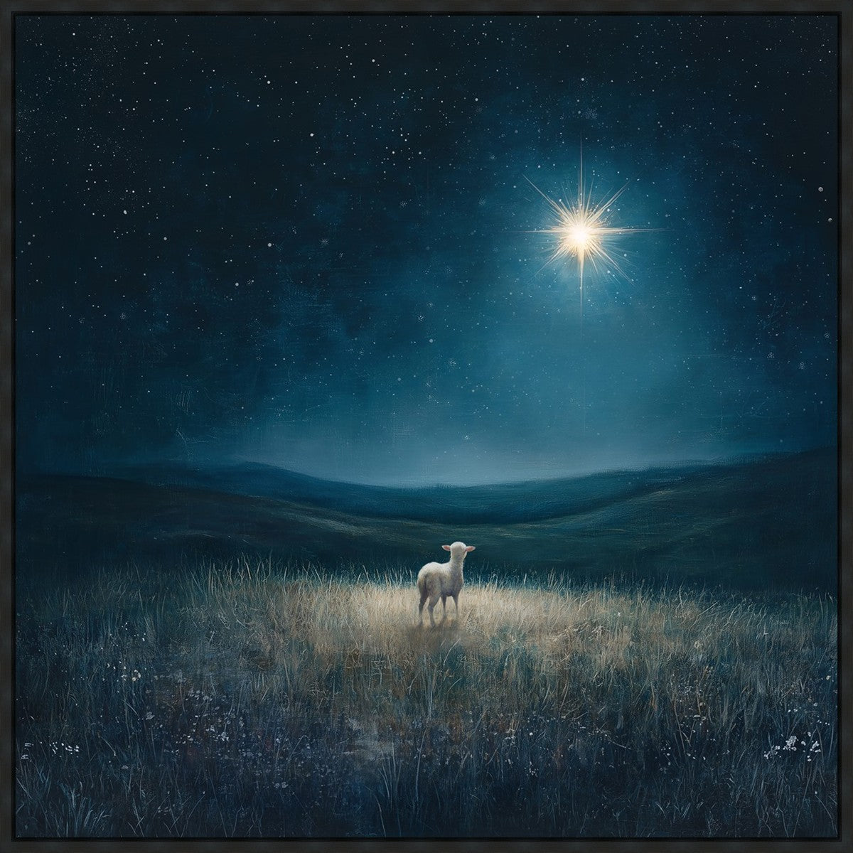 Star of Bethlehem