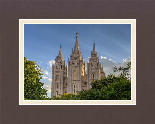 Salt Lake City Utah Temple In His Light