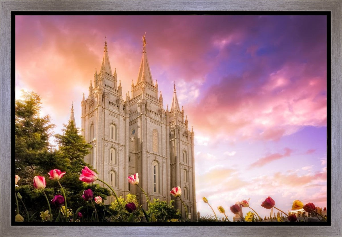 Salt Lake Tulips