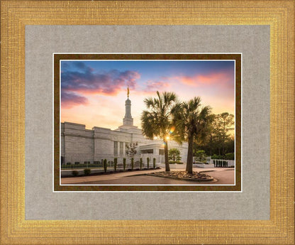 Columbia Palmetto Sunset