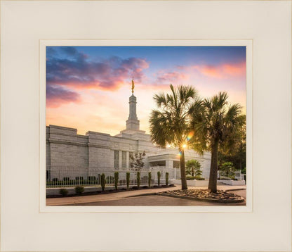 Columbia Palmetto Sunset