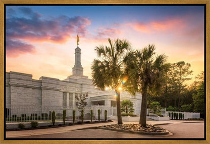 Columbia Palmetto Sunset