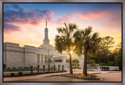 Columbia Palmetto Sunset