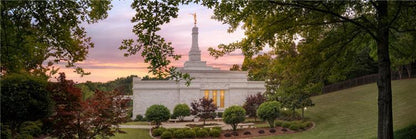 Birmingham Garden
