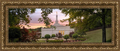 Birmingham Garden