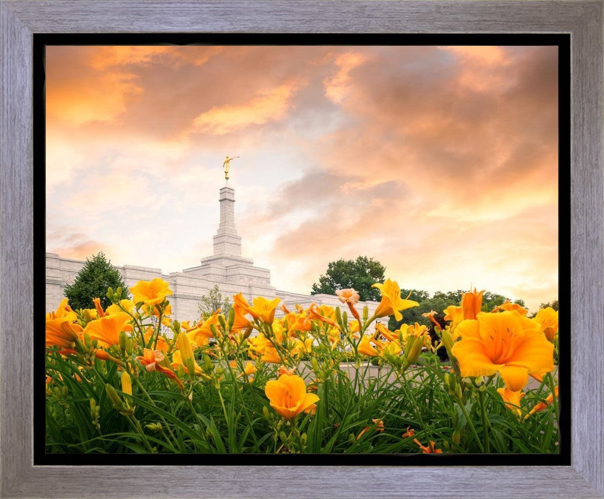 Detroit Flowers Gallery Wrap