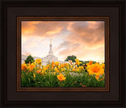 Detroit Flowers