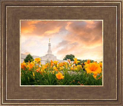 Detroit Flowers