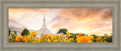 Detroit Flowers