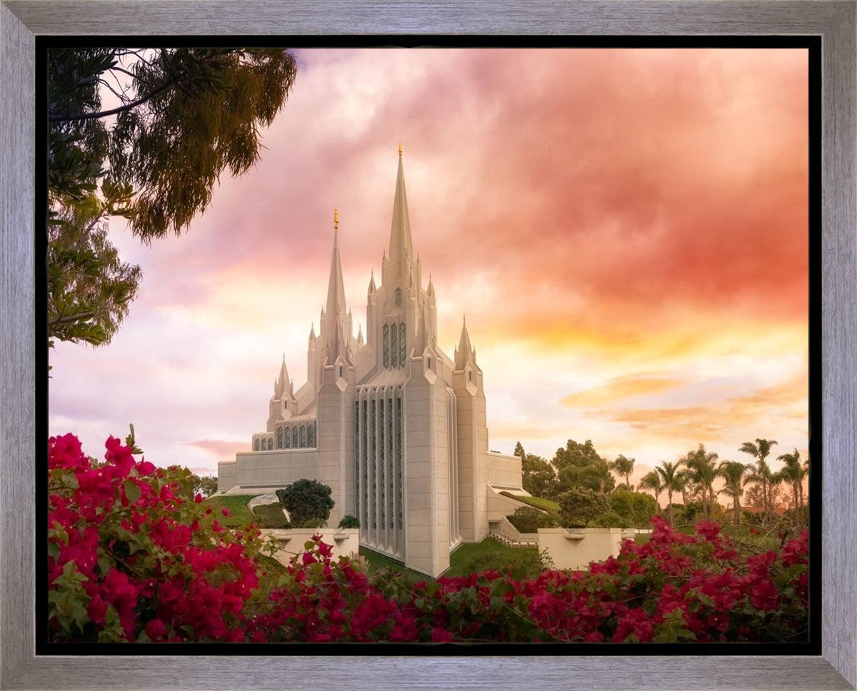 San Diego Flowers