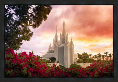 San Diego Flowers