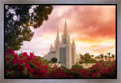 San Diego Flowers