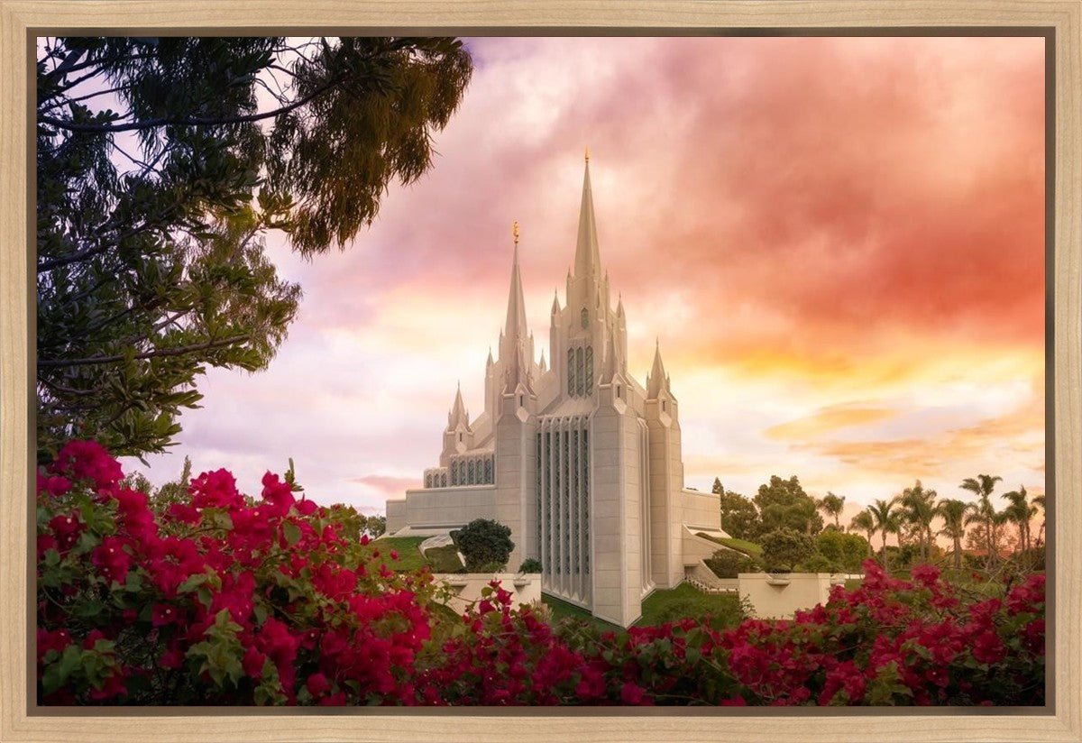 San Diego Flowers