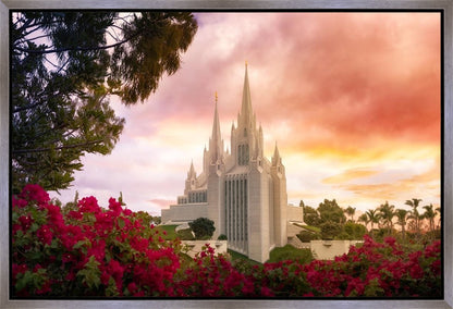 San Diego Flowers