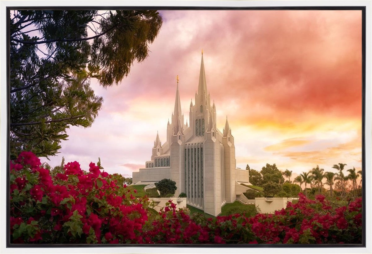 San Diego Flowers