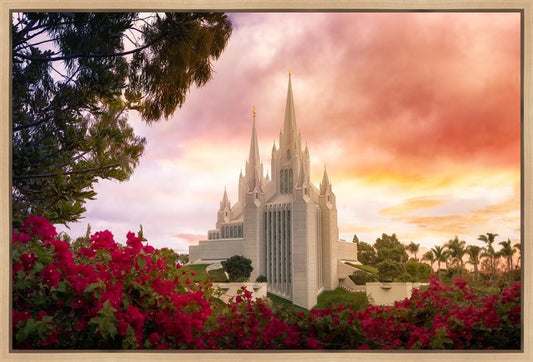 San Diego Flowers