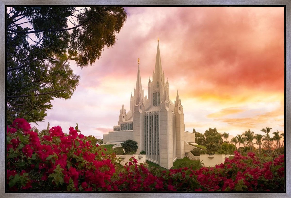 San Diego Flowers