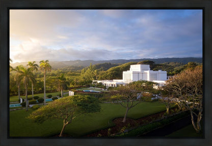 Laie Island Glow