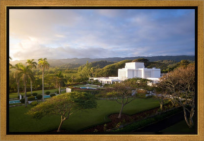 Laie Island Glow