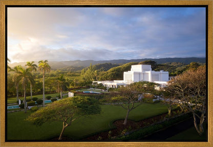 Laie Island Glow