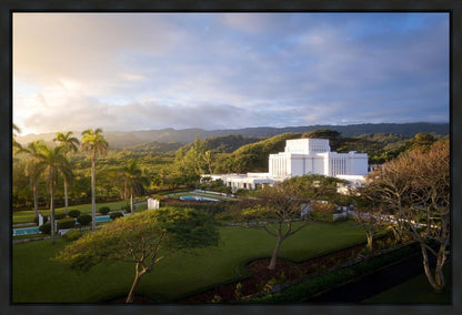 Laie Island Glow