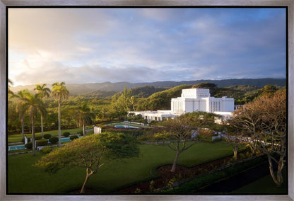 Laie Island Glow