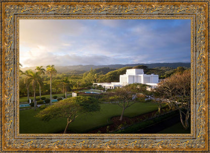Laie Island Glow