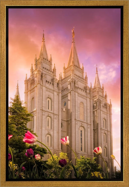 Salt Lake Tulips
