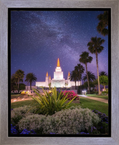 Oakland Starry Eyed