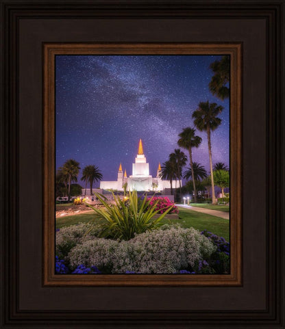 Oakland Starry Eyed
