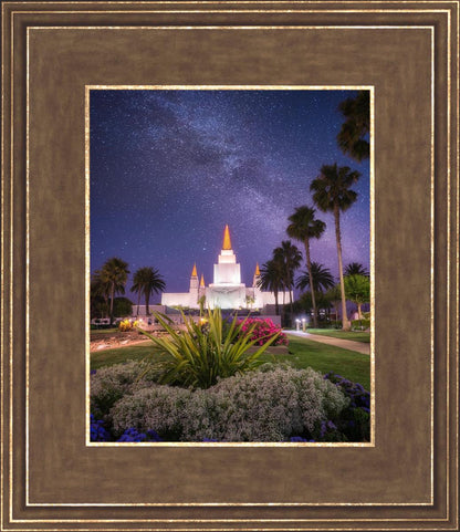 Oakland Starry Eyed