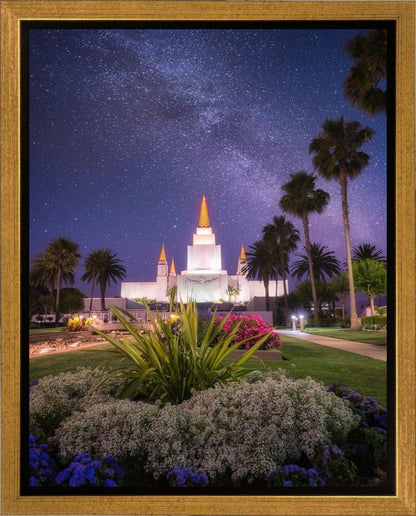 Oakland Starry Eyed