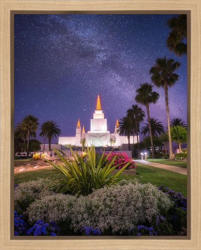 Oakland Starry Eyed