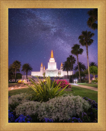 Oakland Starry Eyed