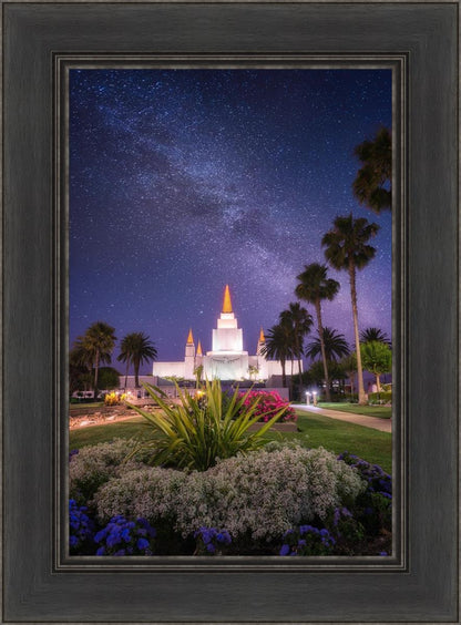 Oakland Starry Eyed