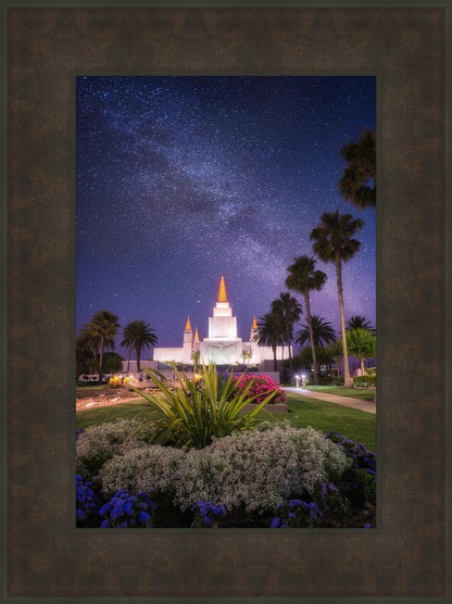 Oakland Starry Eyed