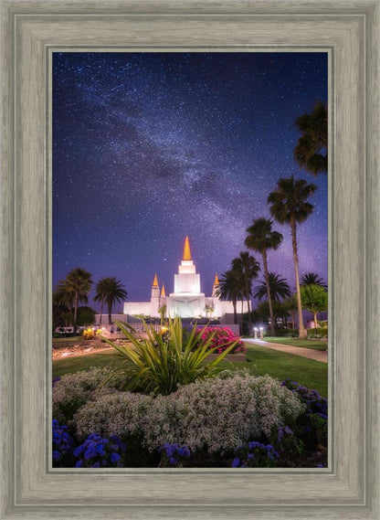Oakland Starry Eyed