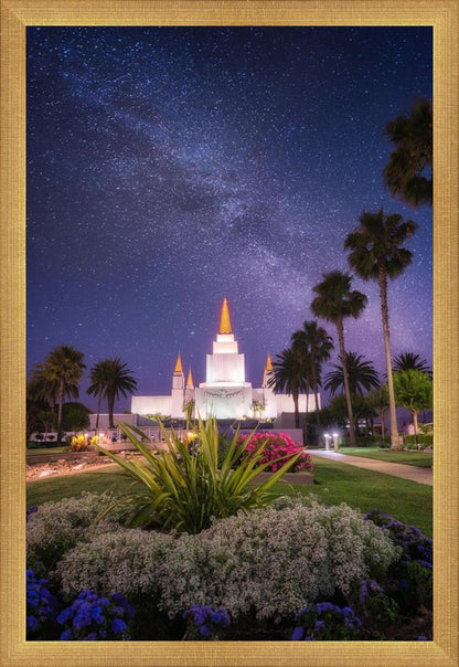 Oakland Starry Eyed