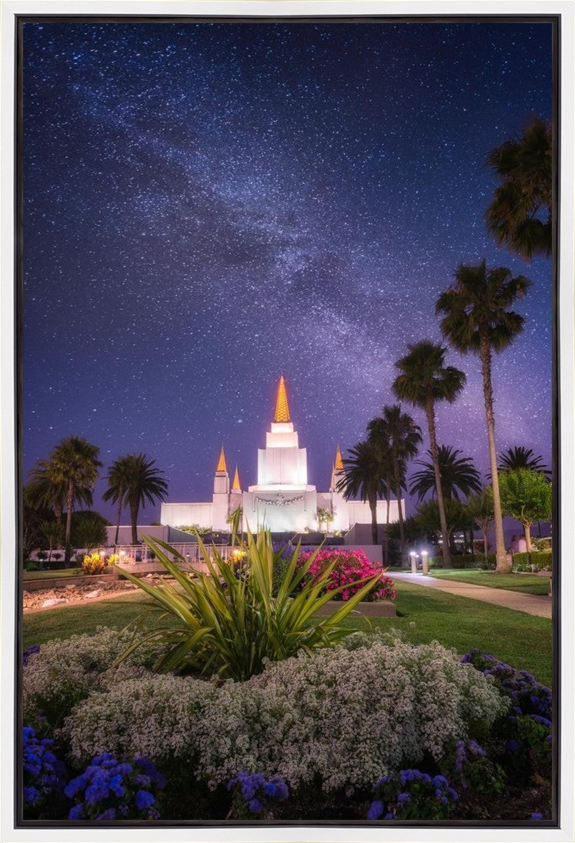 Oakland Starry Eyed