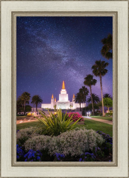 Oakland Starry Eyed