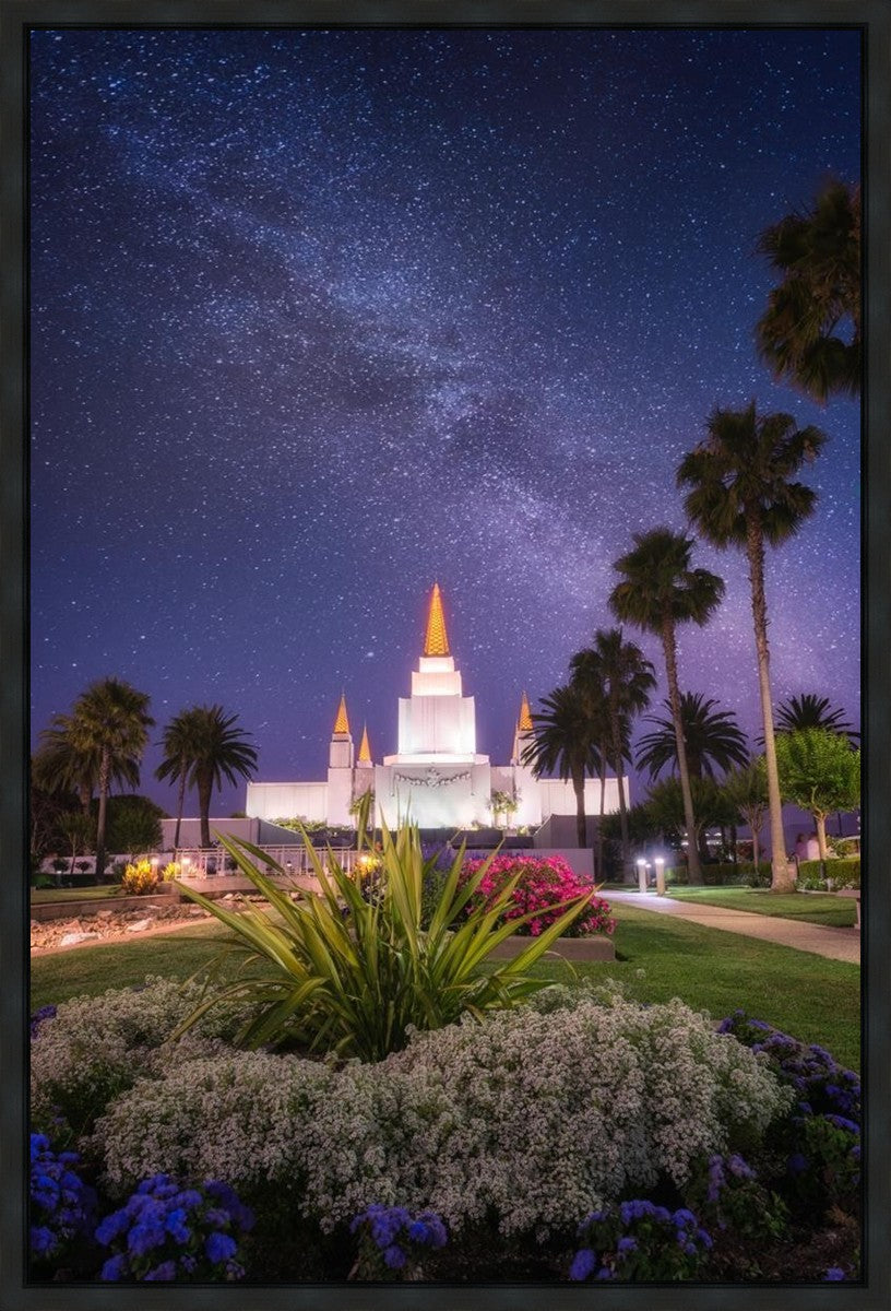 Oakland Starry Eyed