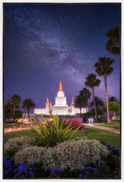 Oakland Starry Eyed