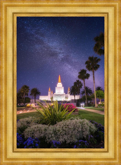 Oakland Starry Eyed