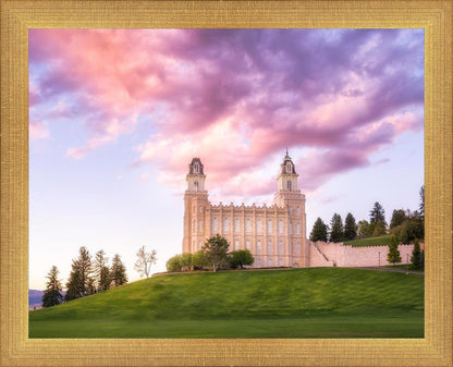 Manti Cotton Candy
