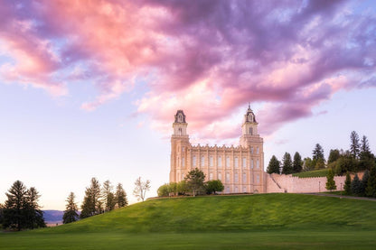Manti Cotton Candy
