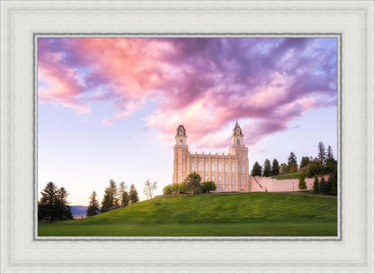 Manti Cotton Candy
